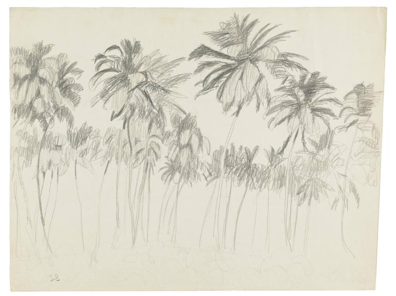 Photography by: Reinaldo Torres Ruiz, Museo de Arte de Ponce. The Luis A. Ferré Foundation, Inc…