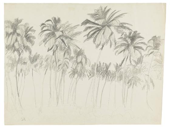 Photography by: Reinaldo Torres Ruiz, Museo de Arte de Ponce. The Luis A. Ferré Foundation, Inc…