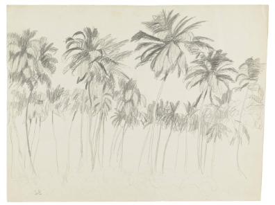 Photography by: Reinaldo Torres Ruiz, Museo de Arte de Ponce. The Luis A. Ferré Foundation, Inc…