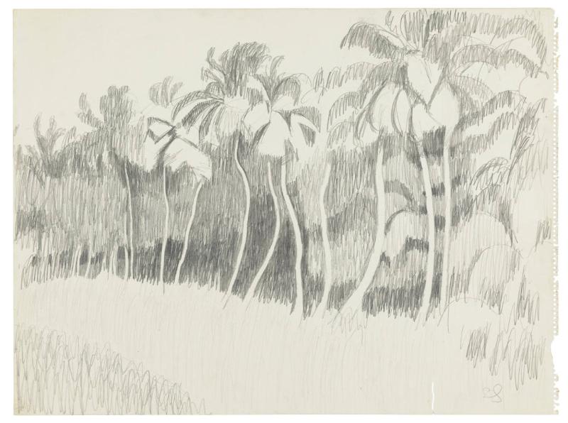 Photography by: Reinaldo Torres Ruiz, Museo de Arte de Ponce. The Luis A. Ferré Foundation, Inc…
