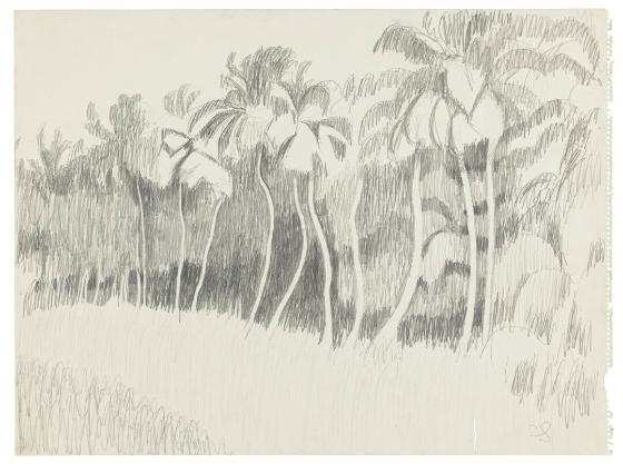 Photography by: Reinaldo Torres Ruiz, Museo de Arte de Ponce. The Luis A. Ferré Foundation, Inc…