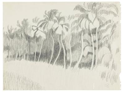 Photography by: Reinaldo Torres Ruiz, Museo de Arte de Ponce. The Luis A. Ferré Foundation, Inc…