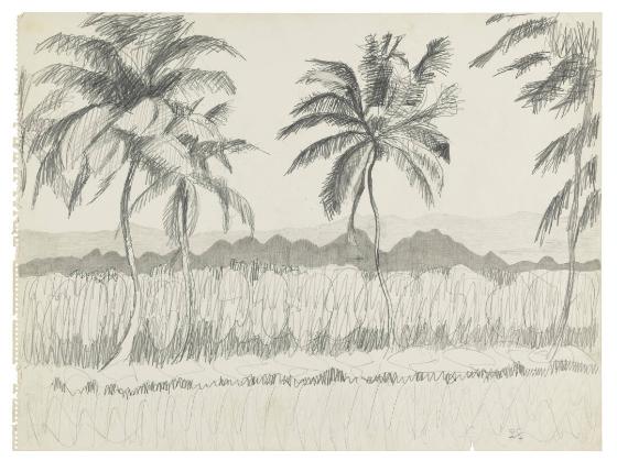 Photography by: Reinaldo Torres Ruiz, Museo de Arte de Ponce. The Luis A. Ferré Foundation, Inc…