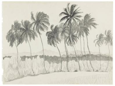 Photography by: Reinaldo Torres Ruiz, Museo de Arte de Ponce. The Luis A. Ferré Foundation, Inc…