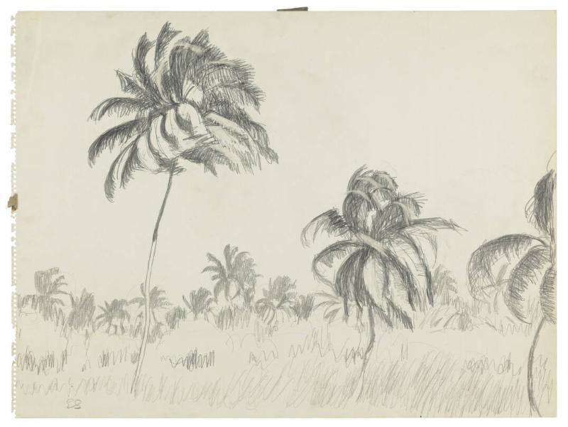 Photography by: Reinaldo Torres Ruiz, Museo de Arte de Ponce. The Luis A. Ferré Foundation, Inc…