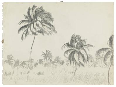 Photography by: Reinaldo Torres Ruiz, Museo de Arte de Ponce. The Luis A. Ferré Foundation, Inc…