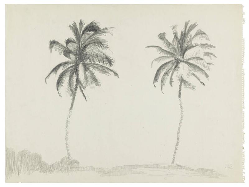 Photography by: Reinaldo Torres Ruiz, Museo de Arte de Ponce. The Luis A. Ferré Foundation, Inc…