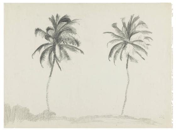 Photography by: Reinaldo Torres Ruiz, Museo de Arte de Ponce. The Luis A. Ferré Foundation, Inc…