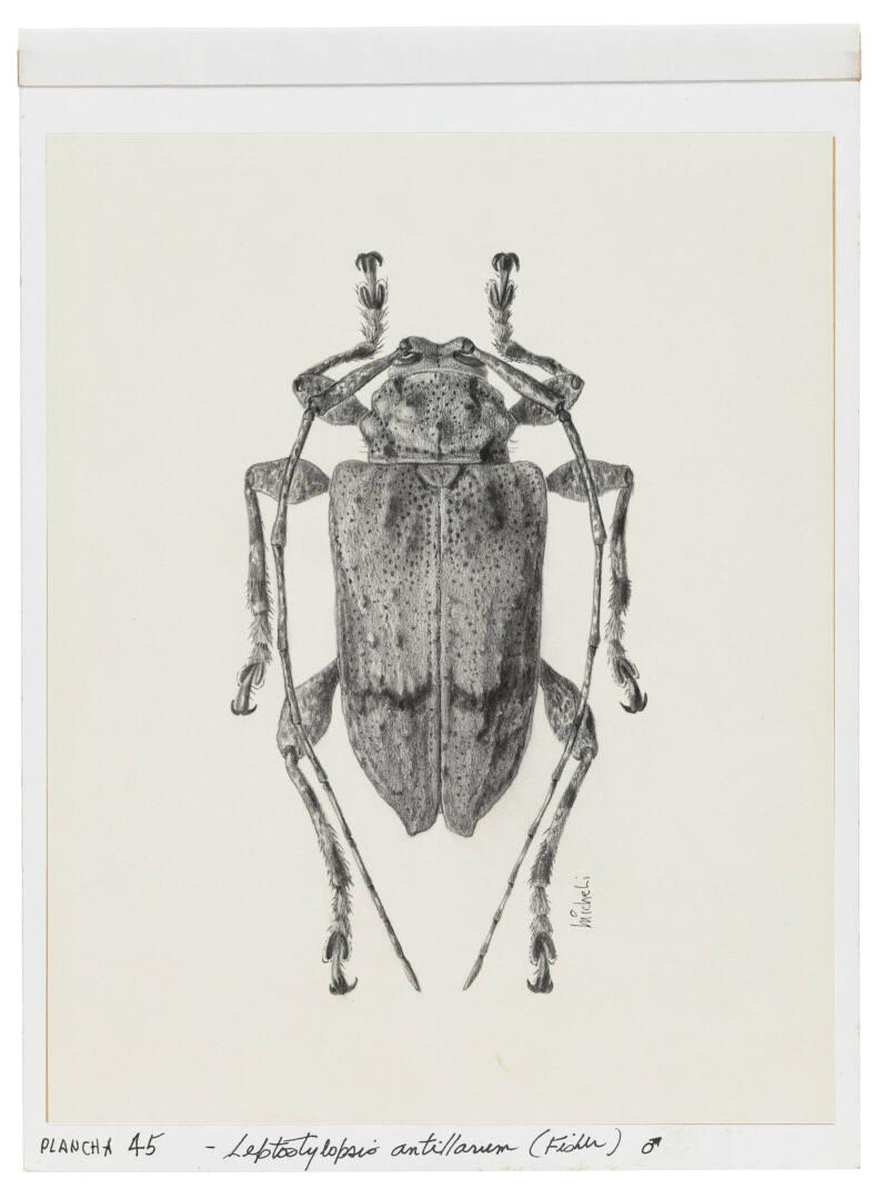 Photography by: Reinaldo Torres Ruiz, Museo de Arte de Ponce. The Luis A. Ferré Foundation, Inc…