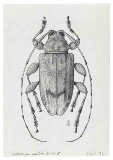 Photography by: Reinaldo Torres Ruiz, Museo de Arte de Ponce. The Luis A. Ferré Foundation, Inc…