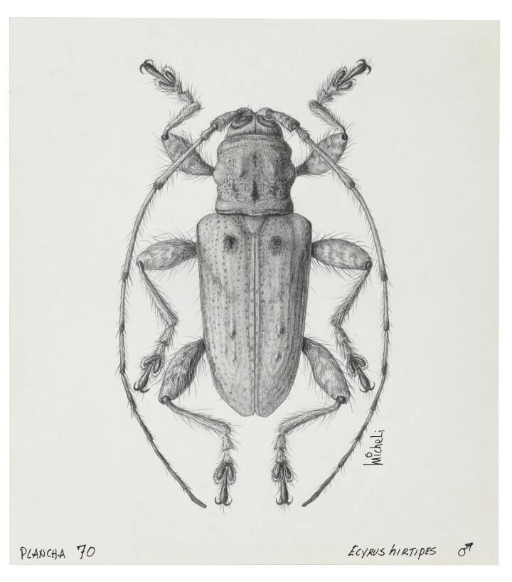 Photography by: Reinaldo Torres Ruiz, Museo de Arte de Ponce. The Luis A. Ferré Foundation, Inc…