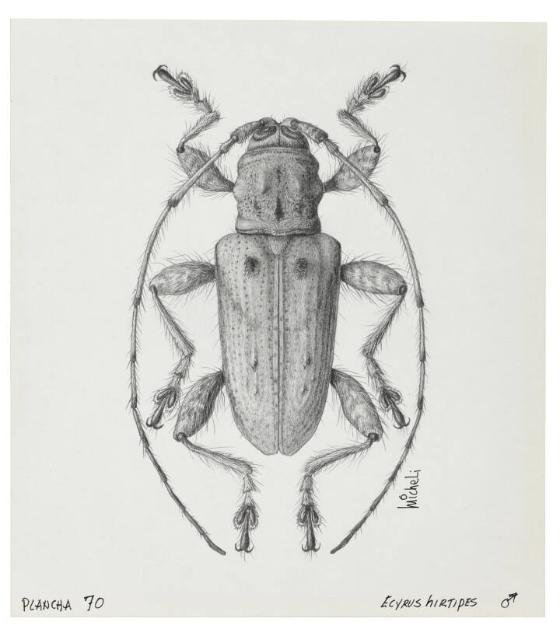 Photography by: Reinaldo Torres Ruiz, Museo de Arte de Ponce. The Luis A. Ferré Foundation, Inc…