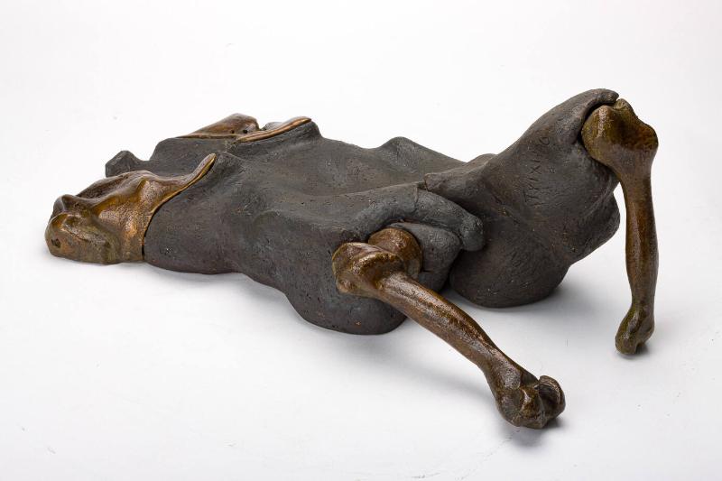 Photography by: Roberto G. Rivera Sánchez, Museo de Arte de Ponce. The Luis A. Ferré Foundation…