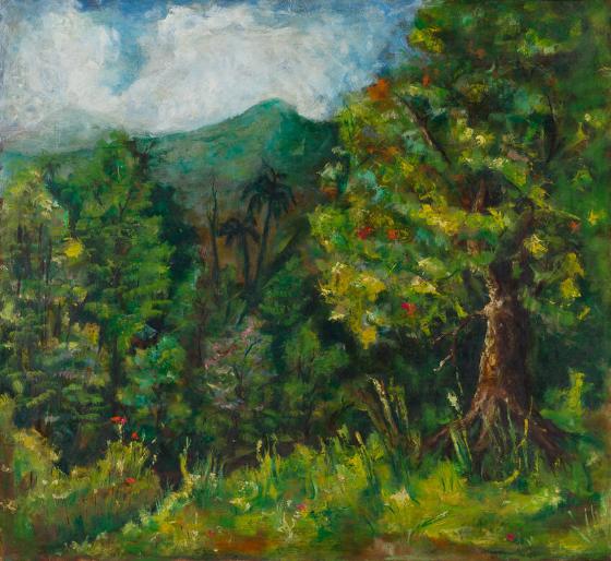 Photography by: Roberto G. Rivera Sánchez, Museo de Arte de Ponce. The Luis A. Ferré Foundation…