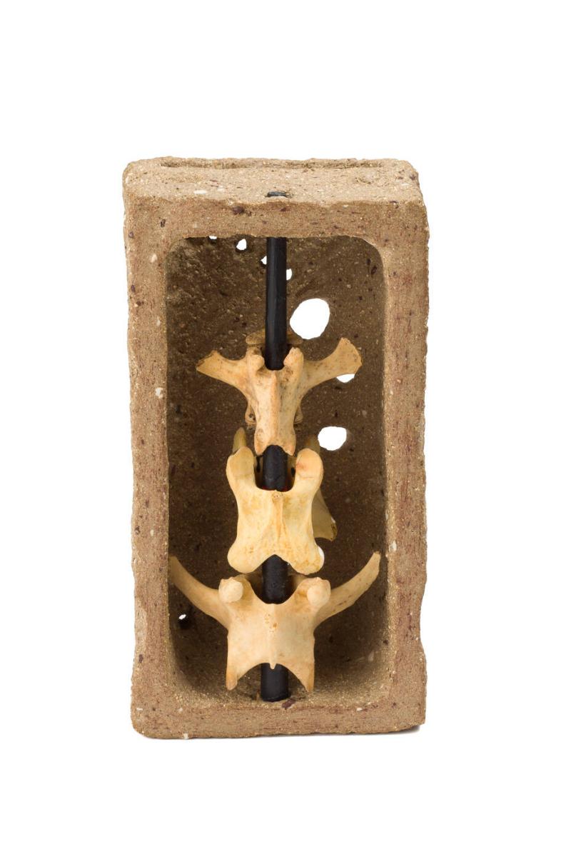 Photography by: Roberto G. Rivera Sánchez, Museo de Arte de Ponce. The Luis A. Ferré Foundation…